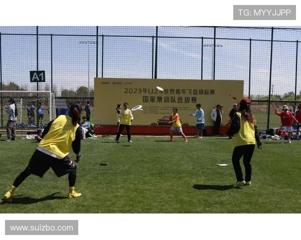 赛后复盘分析上海飞盘队与深圳飞盘队的竞技状态与表现对比