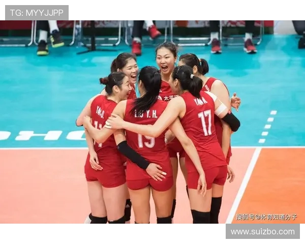 杭州排球队总决赛战术分析与表现评估全面解读